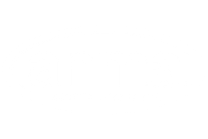 Logotipo blanco de Anma