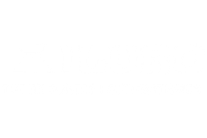 Logotipo de Portes Iluro