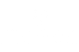 Logitpo de Proneo Sports